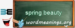 WordMeaning blackboard for spring beauty